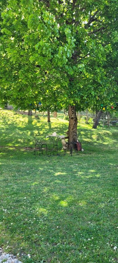 La Casita Hébergement de vacances *