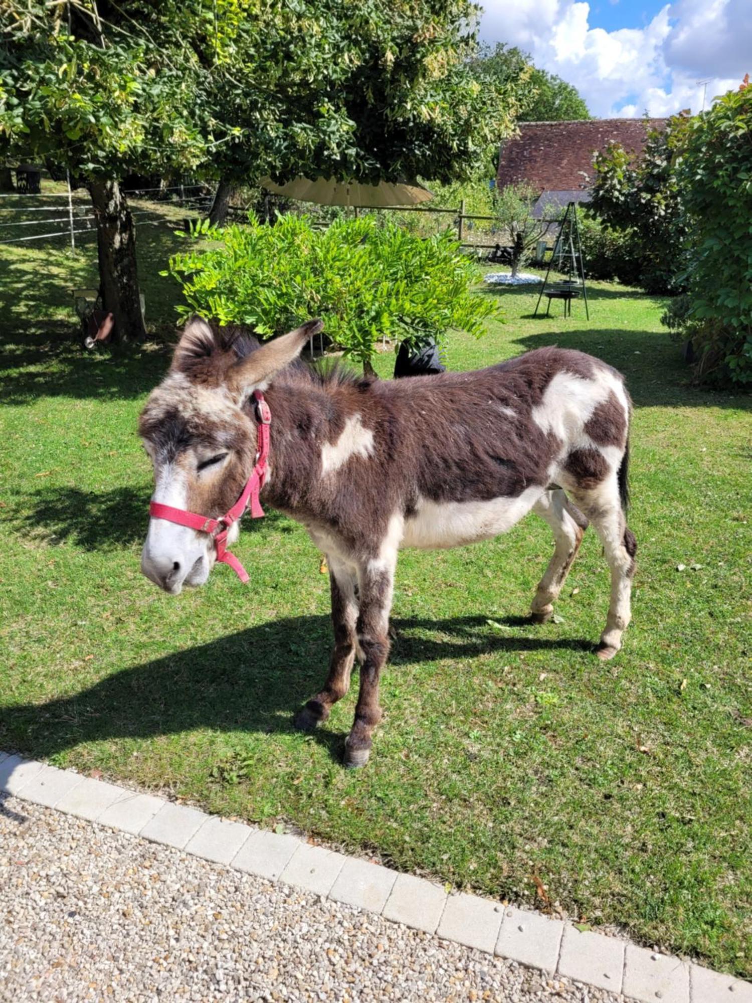 Hébergement de vacances La Casita *