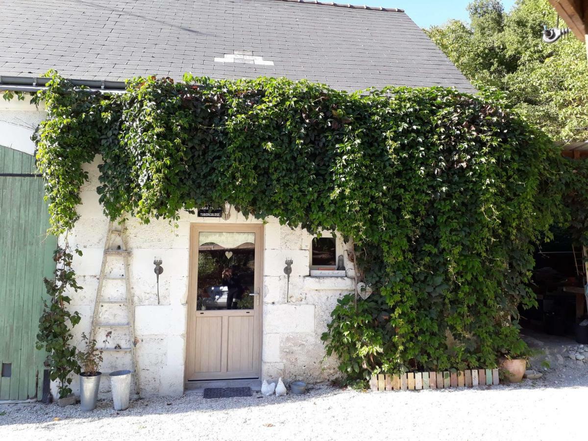 La Casita Hébergement de vacances Blere
